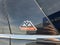 2024 Ford Expedition Timberline