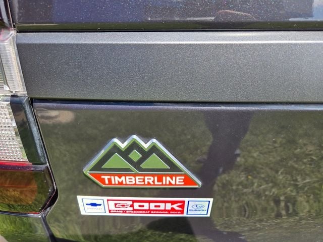 2024 Ford Expedition Timberline