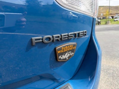 2023 Subaru Forester Wilderness