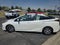 2019 Toyota Prius XLE AWD-e