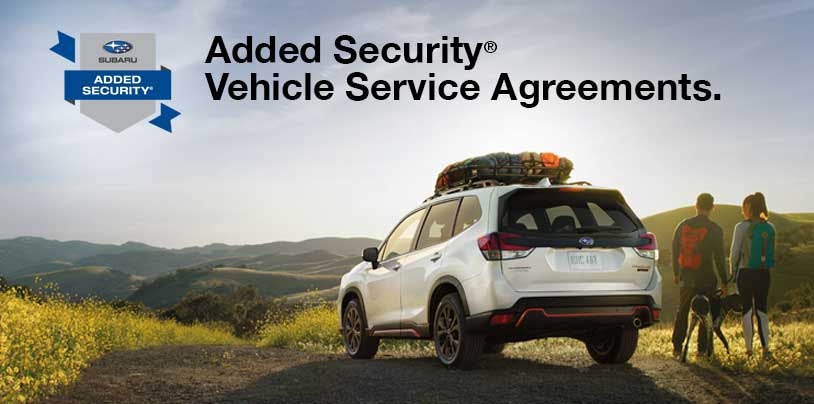Two people with a dog standing next to a white subaru with luggage rack on top.