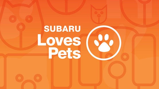 Cook Subaru in Steamboat Springs CO