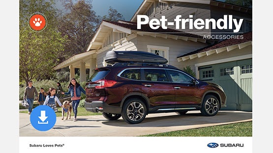 Cook Subaru in Steamboat Springs CO