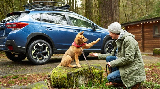 Cook Subaru in Steamboat Springs CO