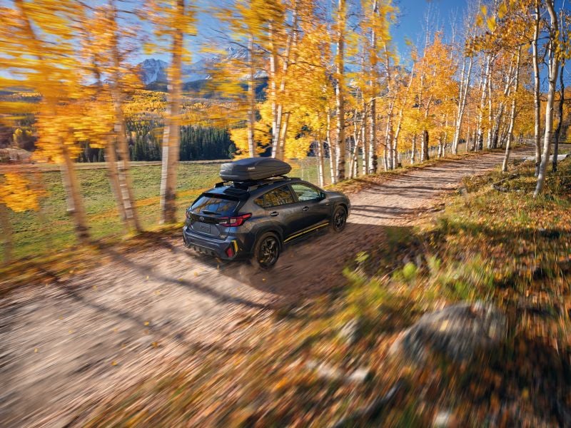 Subaru Crosstrek driving along a scenic dirt road surrounded by golden aspen trees in Northwest Colorado during fall.