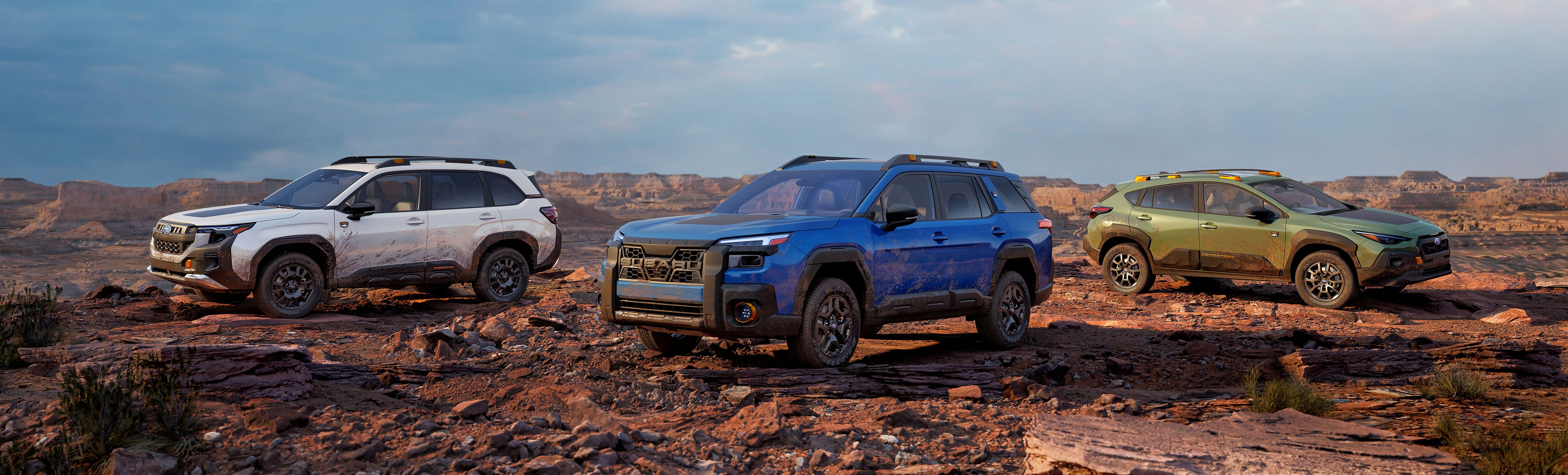 Subaru Wilderness Model Lineup